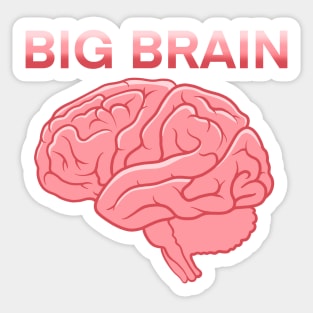 Big Brain Sticker